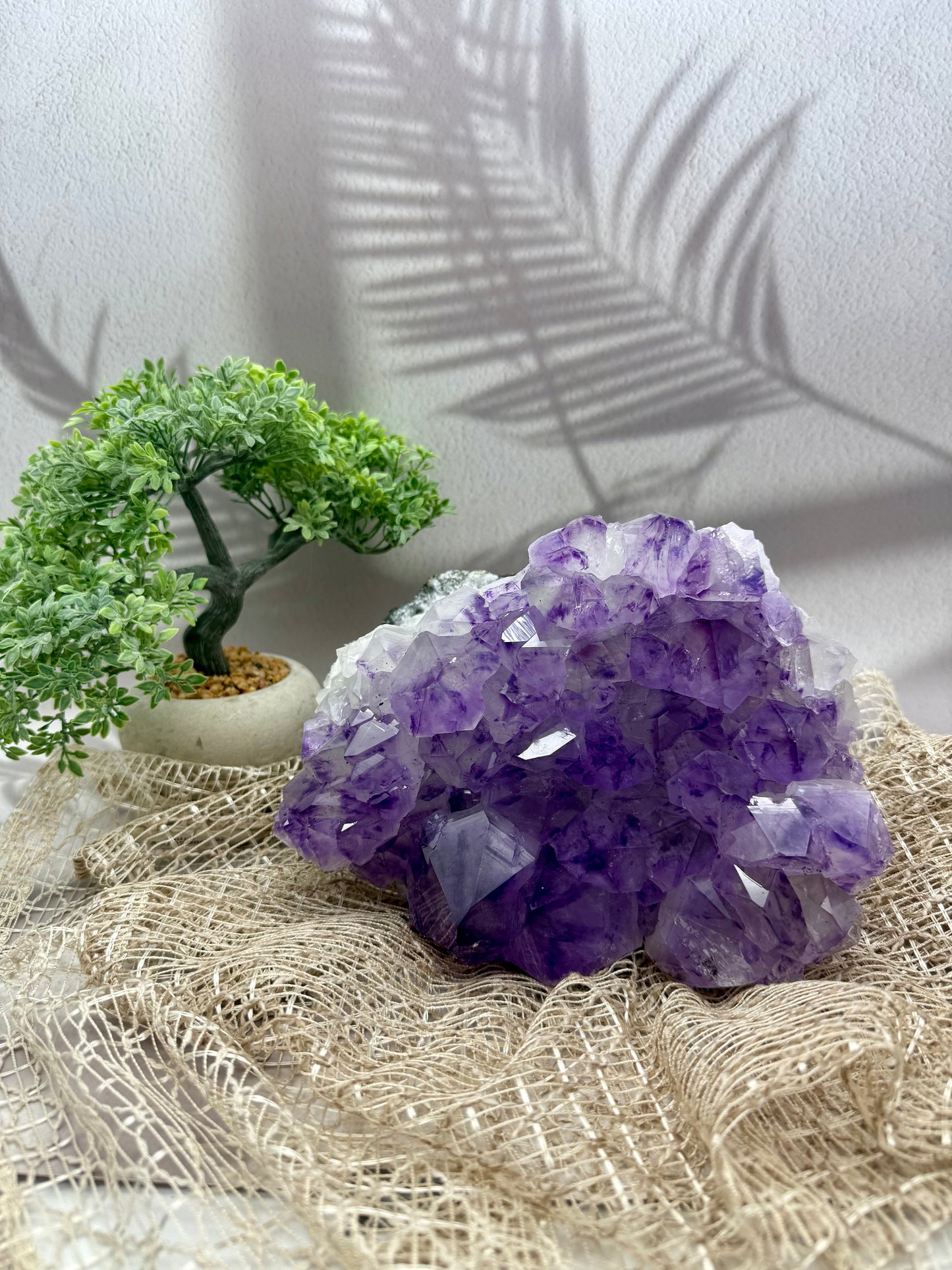 Amethyst Cluster - 5,3 kg - Ladecluster