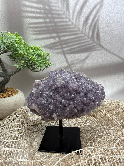 Amethyst auf Ständer - 1
