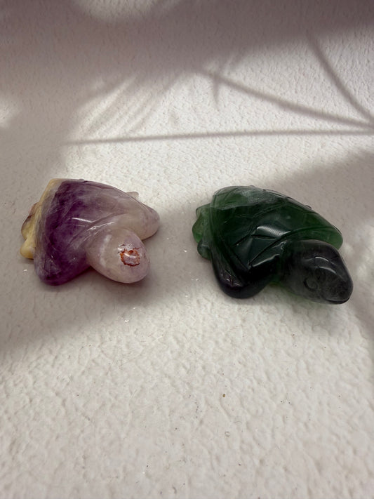 Fluorit Schildkröte 1-2