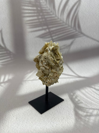Golden Micca - Glimmer auf Ständer III