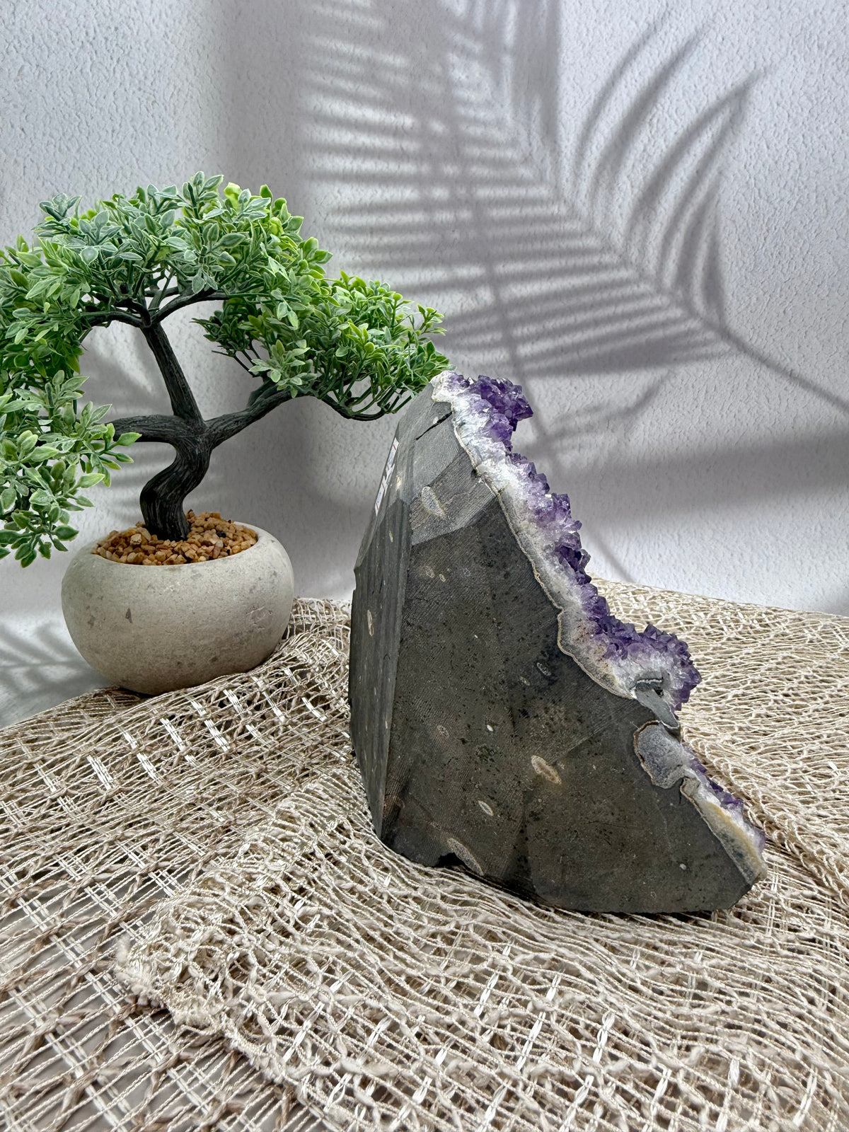 Amethyst Druse lila - groß I