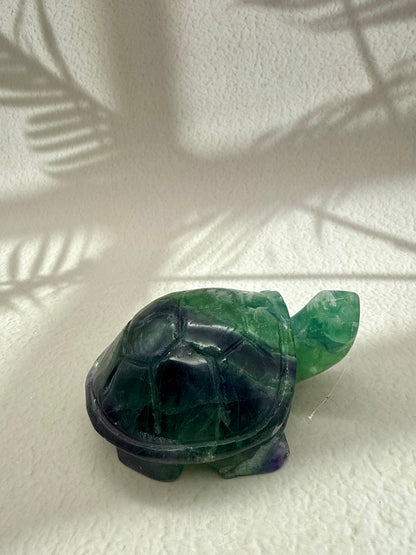 Fluorit Schildkröte