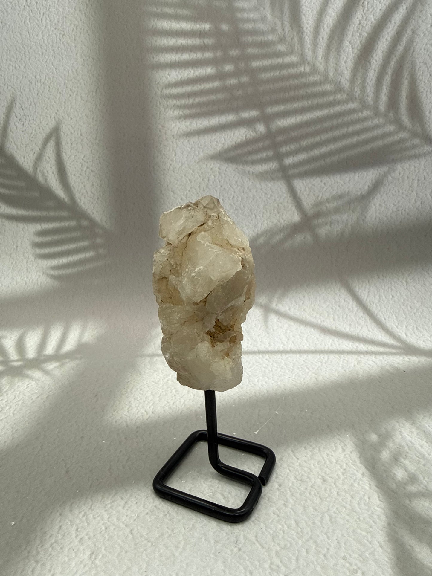 Krokodilquarz auf Ständer VI
