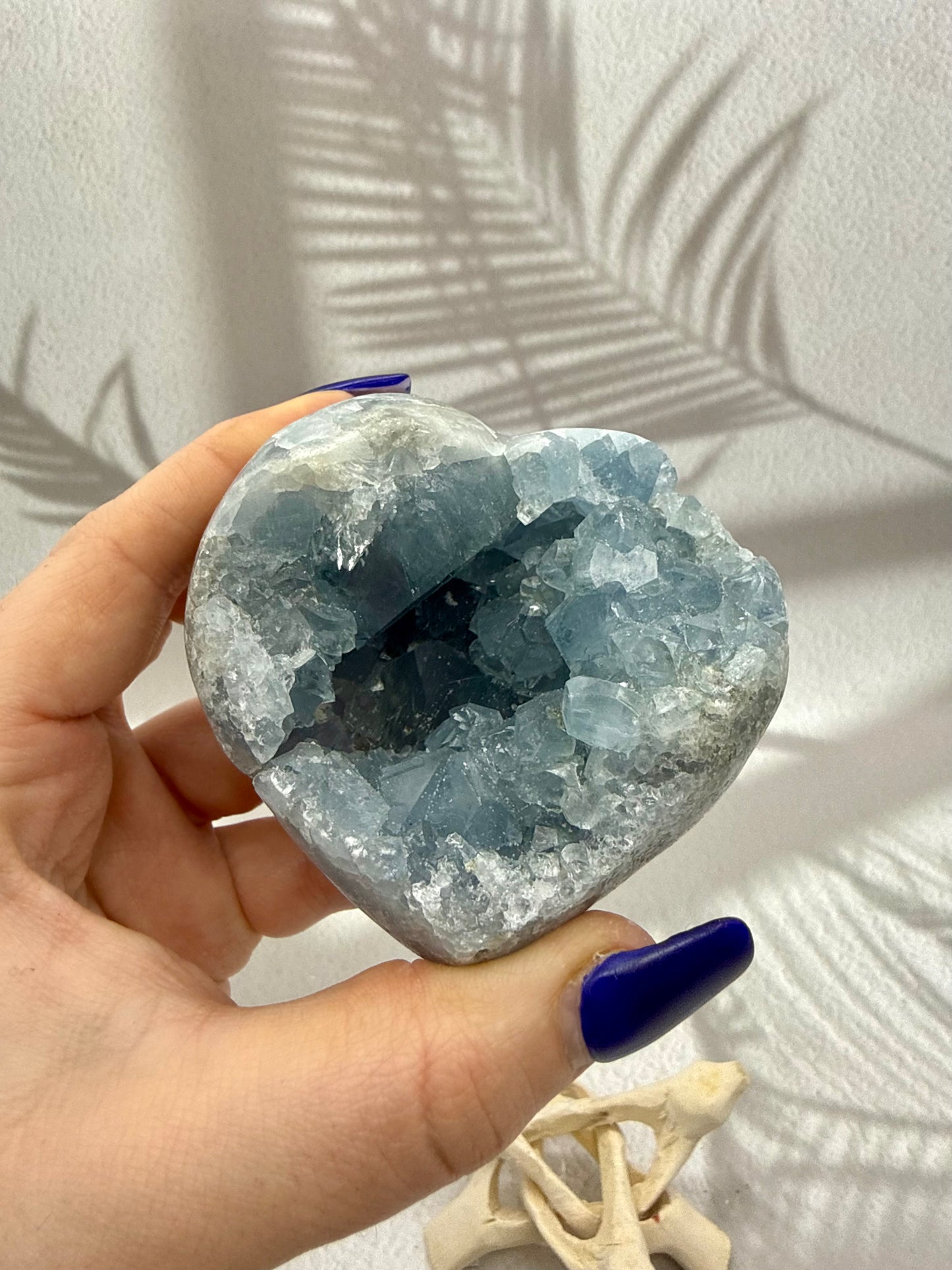 Coelestin Herz Druse III