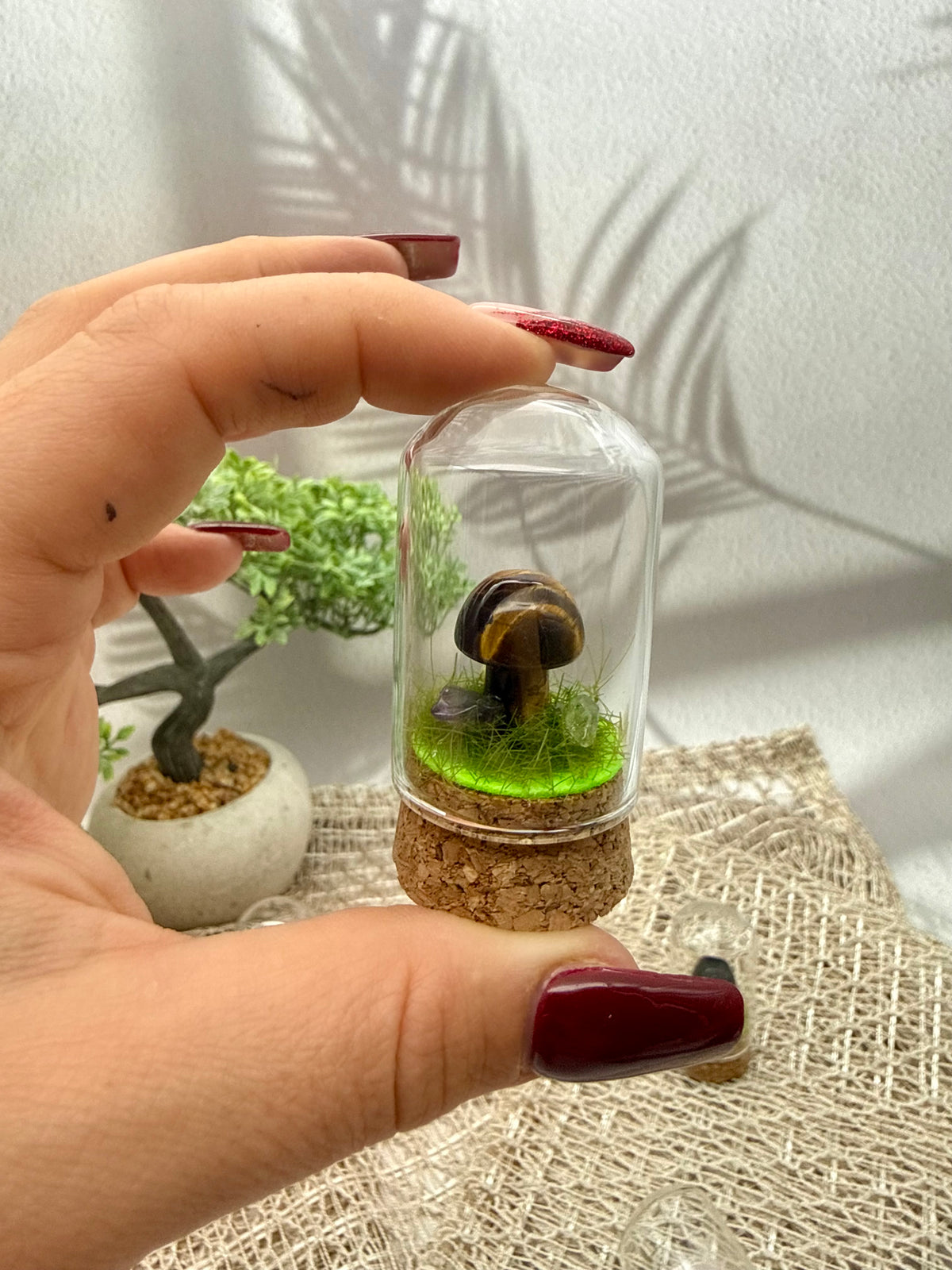 Pilz im Glas 1-3