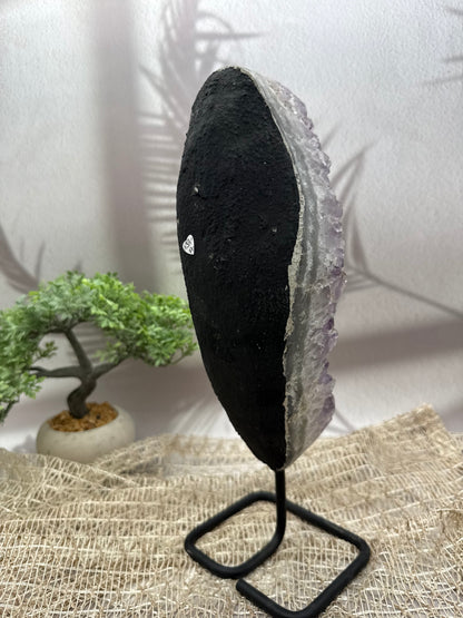 Amethyst auf Ständer - I - 3,1kg