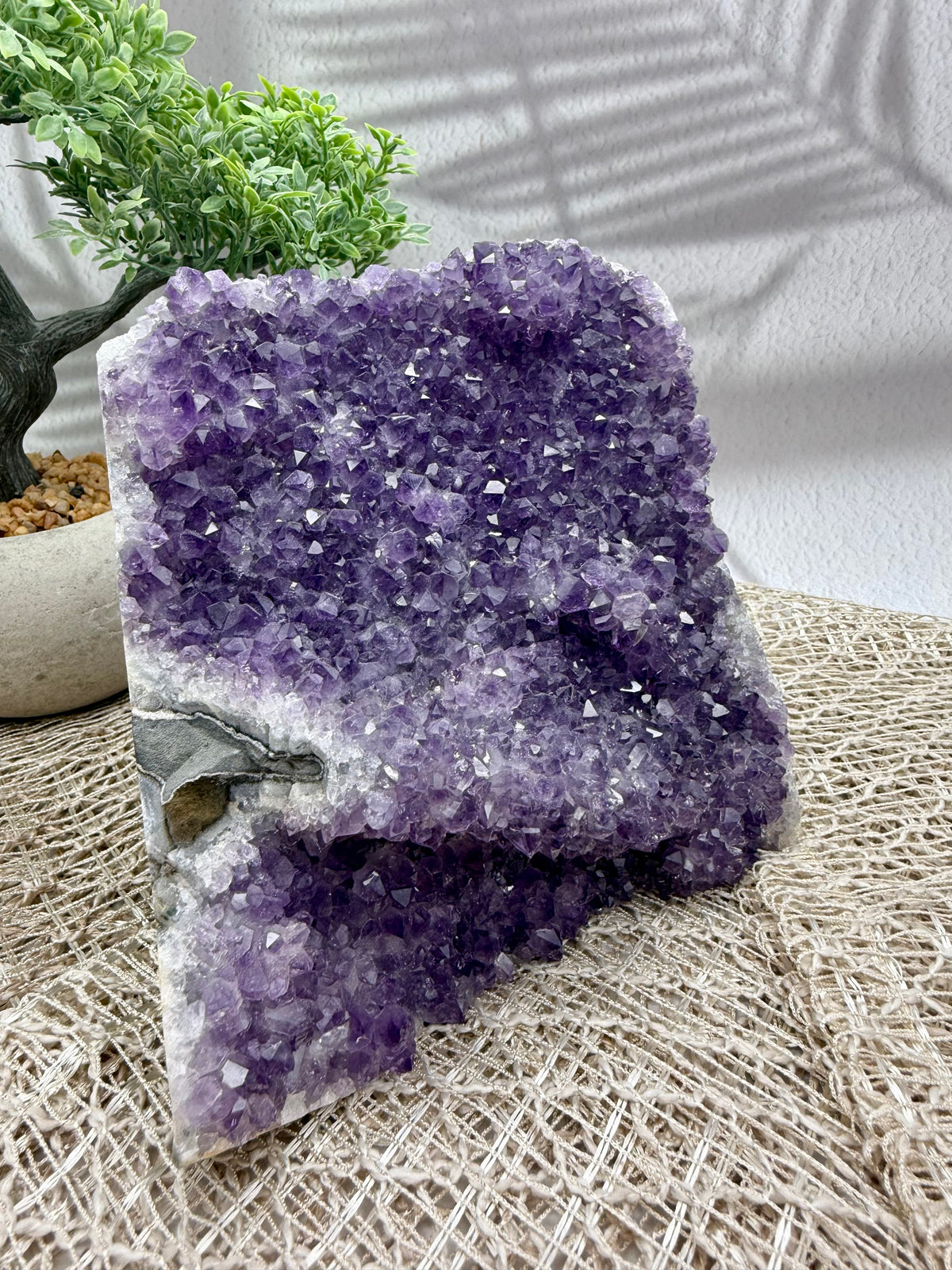 Amethyst Druse lila - groß I