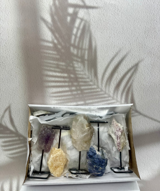 Mineralien-Set 10. (B-Ware)