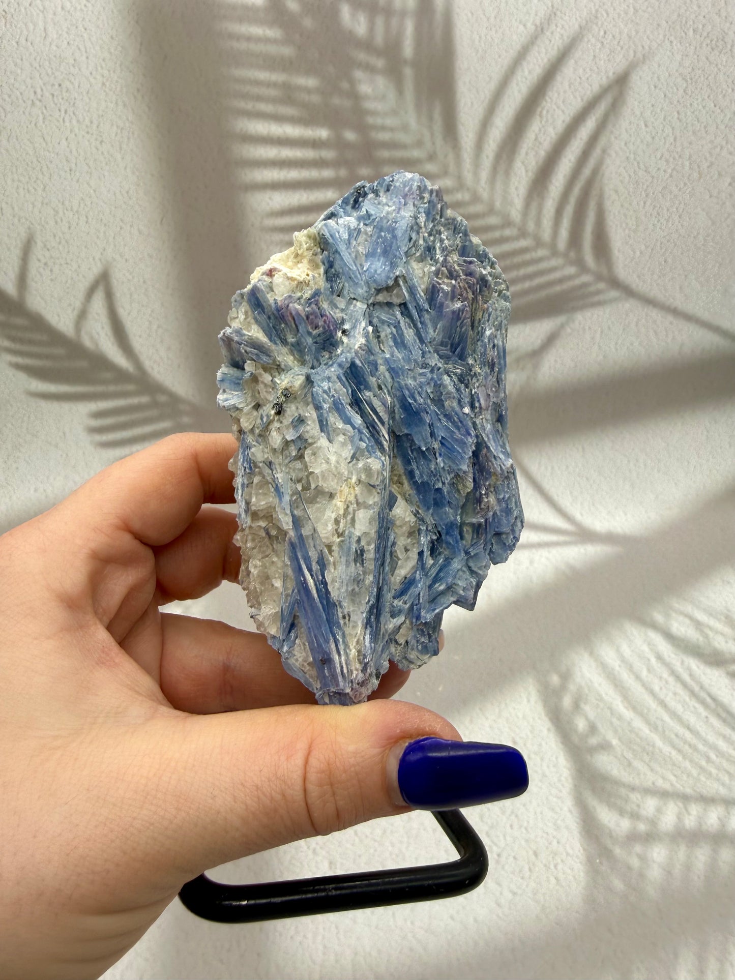 Blauer Kyanit VIIII