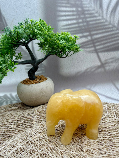 Orangencalcit Elefant - I