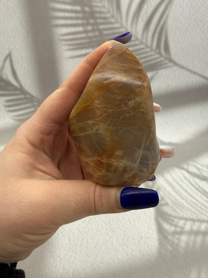 Aprikosen Mondstein Flammen 1-2