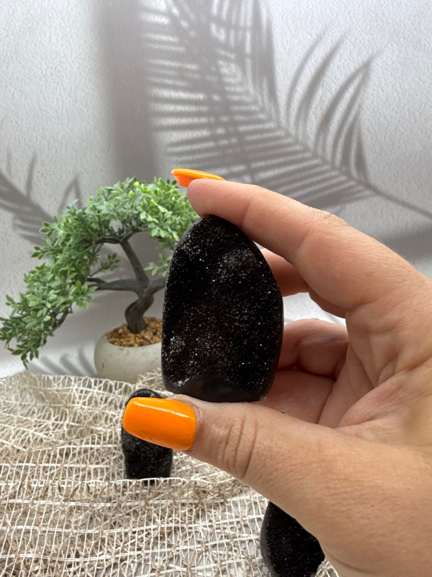 Septarie Mini Drusen