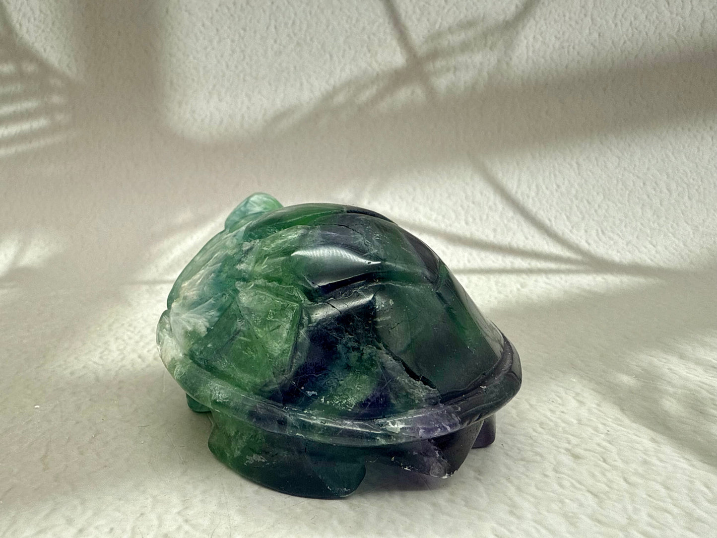 Fluorit Schildkröte