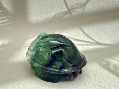 Fluorit Schildkröte