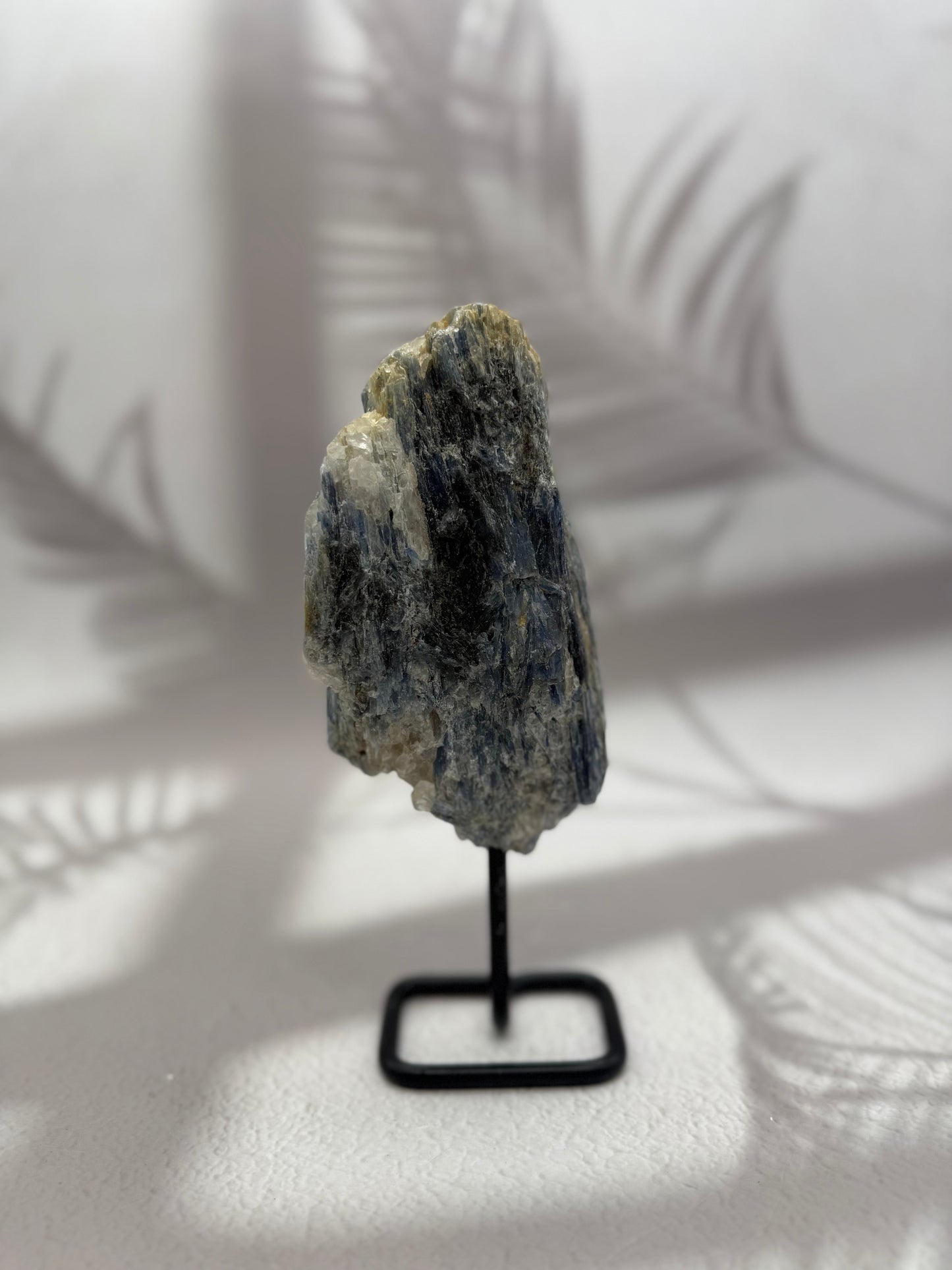 Blauer/Schwarzer Kyanit auf Ständer X
