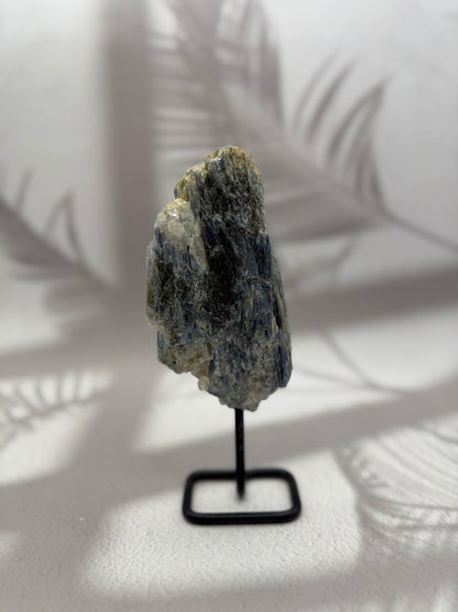 Blauer/Schwarzer Kyanit auf Ständer X