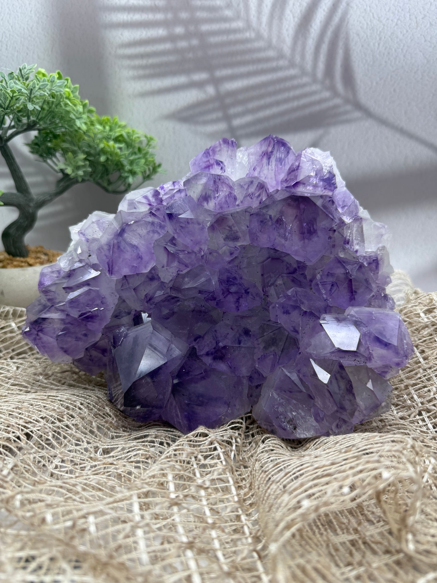 Amethyst Cluster - 5,3 kg - Ladecluster