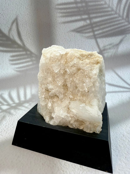 Bergkristall Druse auf Holzsockel II
