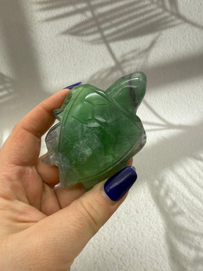 Fluorit Schildkröte 1-2