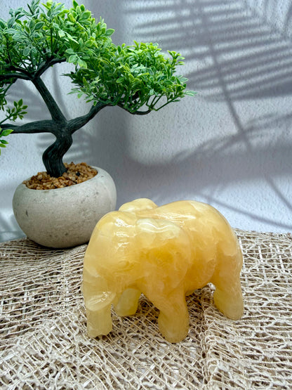 Orangencalcit Elefant - II
