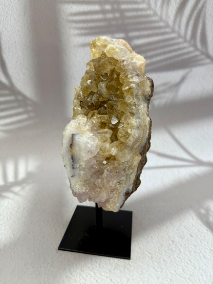 Gebrannter Citrin auf Ständer