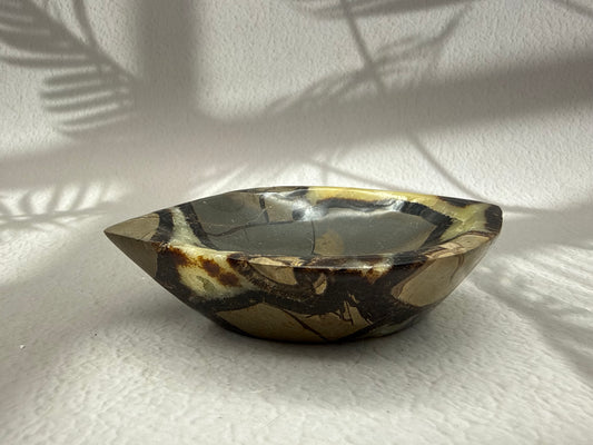 Septarie Schale mit Druse