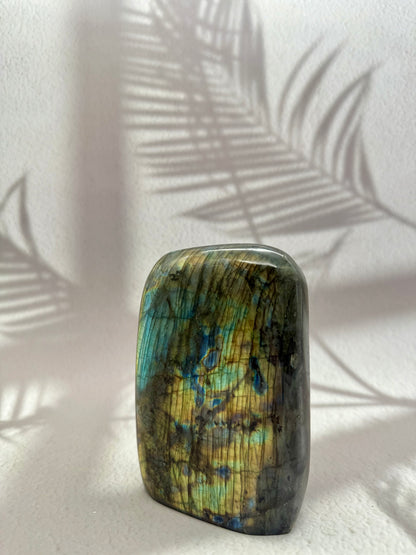 Labradorit Freiform VI