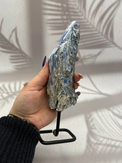 Blauer Kyanit V | B-Ware