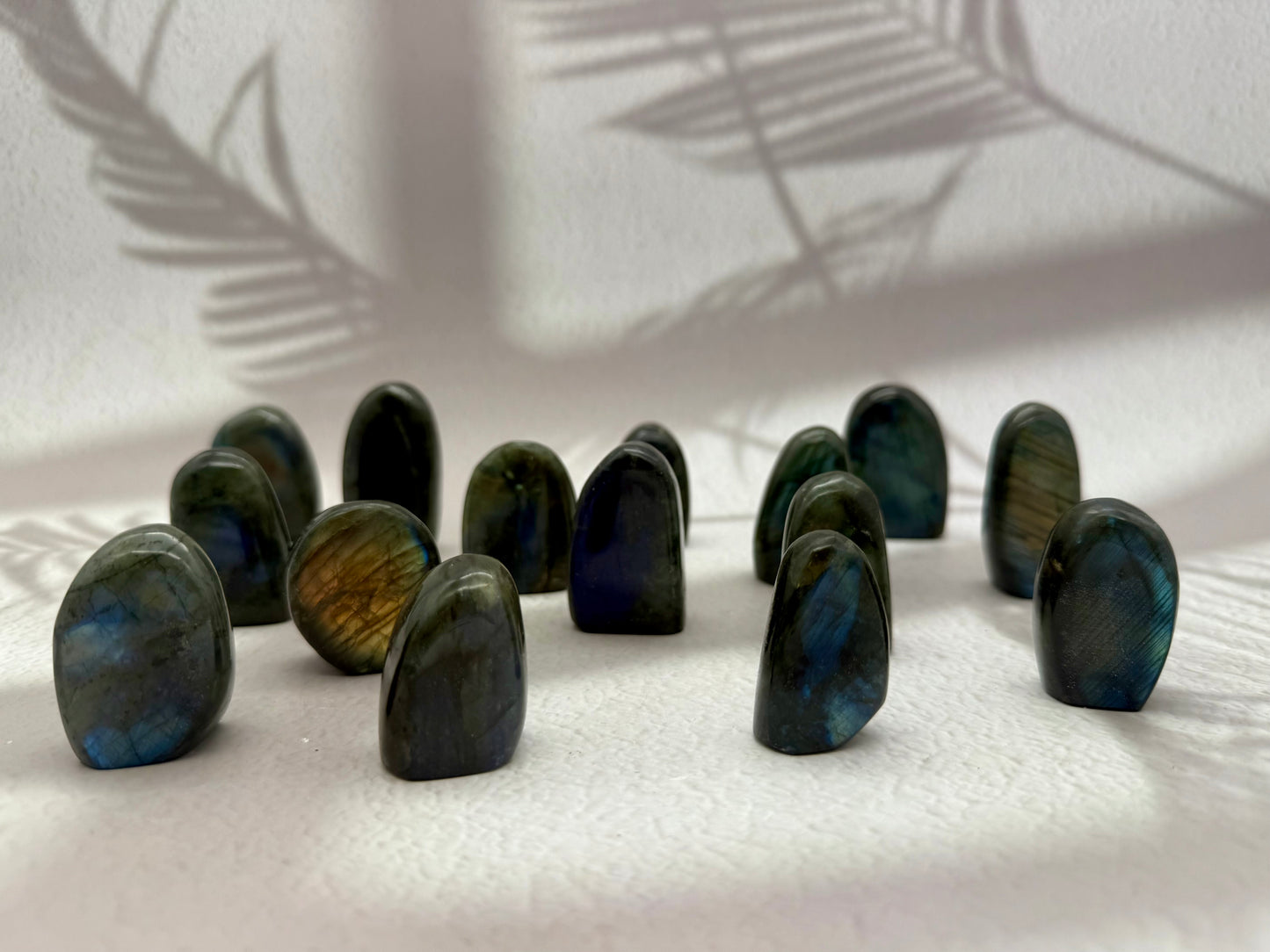 Labradorit mini Freiformen