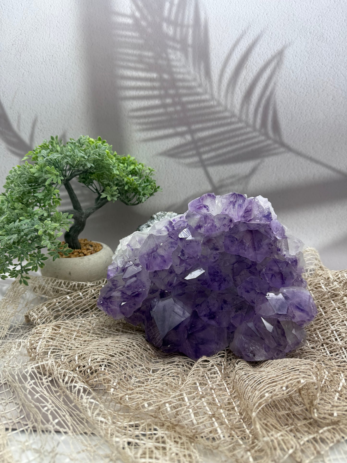 Amethyst Cluster - 5,3 kg - Ladecluster