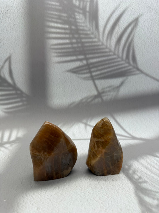 Aprikosen Mondstein Flammen 1-2