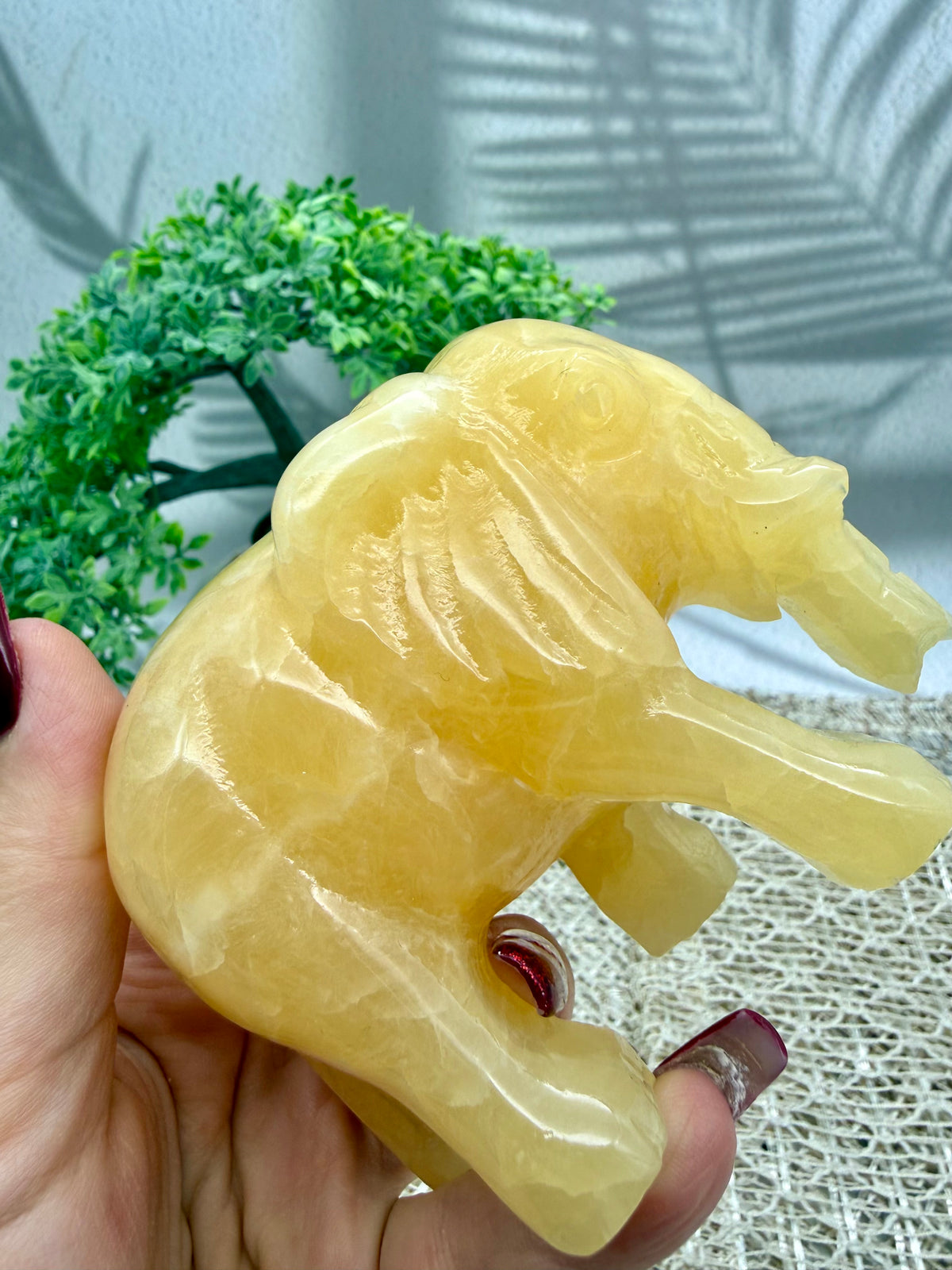 Orangencalcit Elefant - II