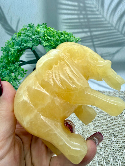 Orangencalcit Elefant - II