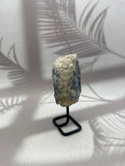 Blauer/Schwarzer Kyanit auf Ständer XII