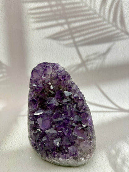Sibirischer Amethyst II