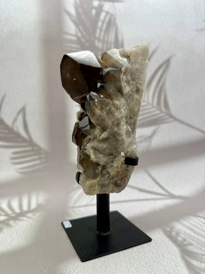 Rauchquarz auf Ständer 5