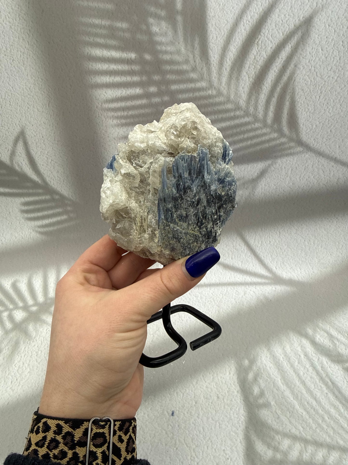 Blauer/Schwarzer Kyanit auf Ständer XII