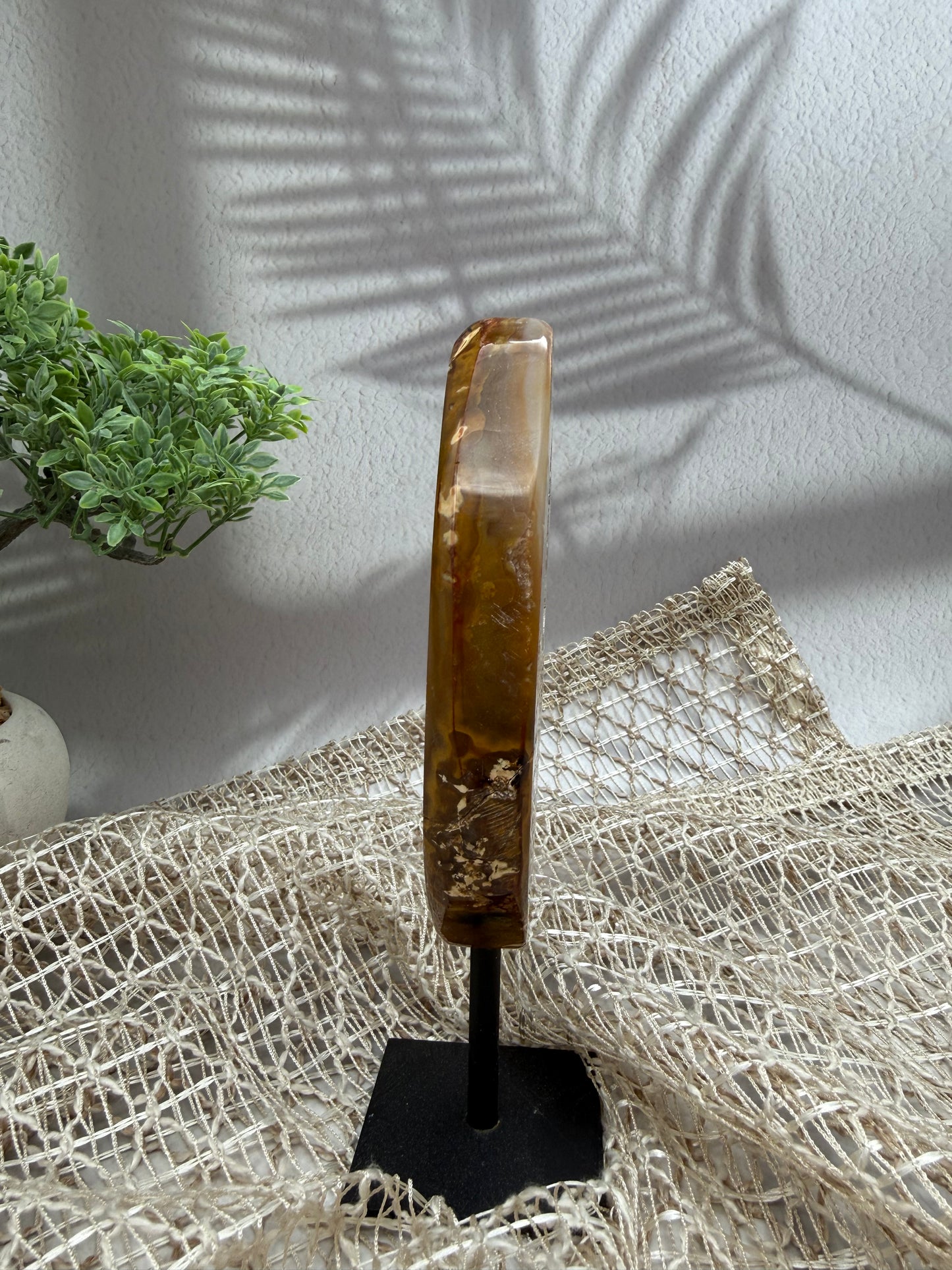 Achat auf Ständer - I