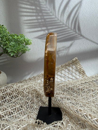 Achat auf Ständer - I
