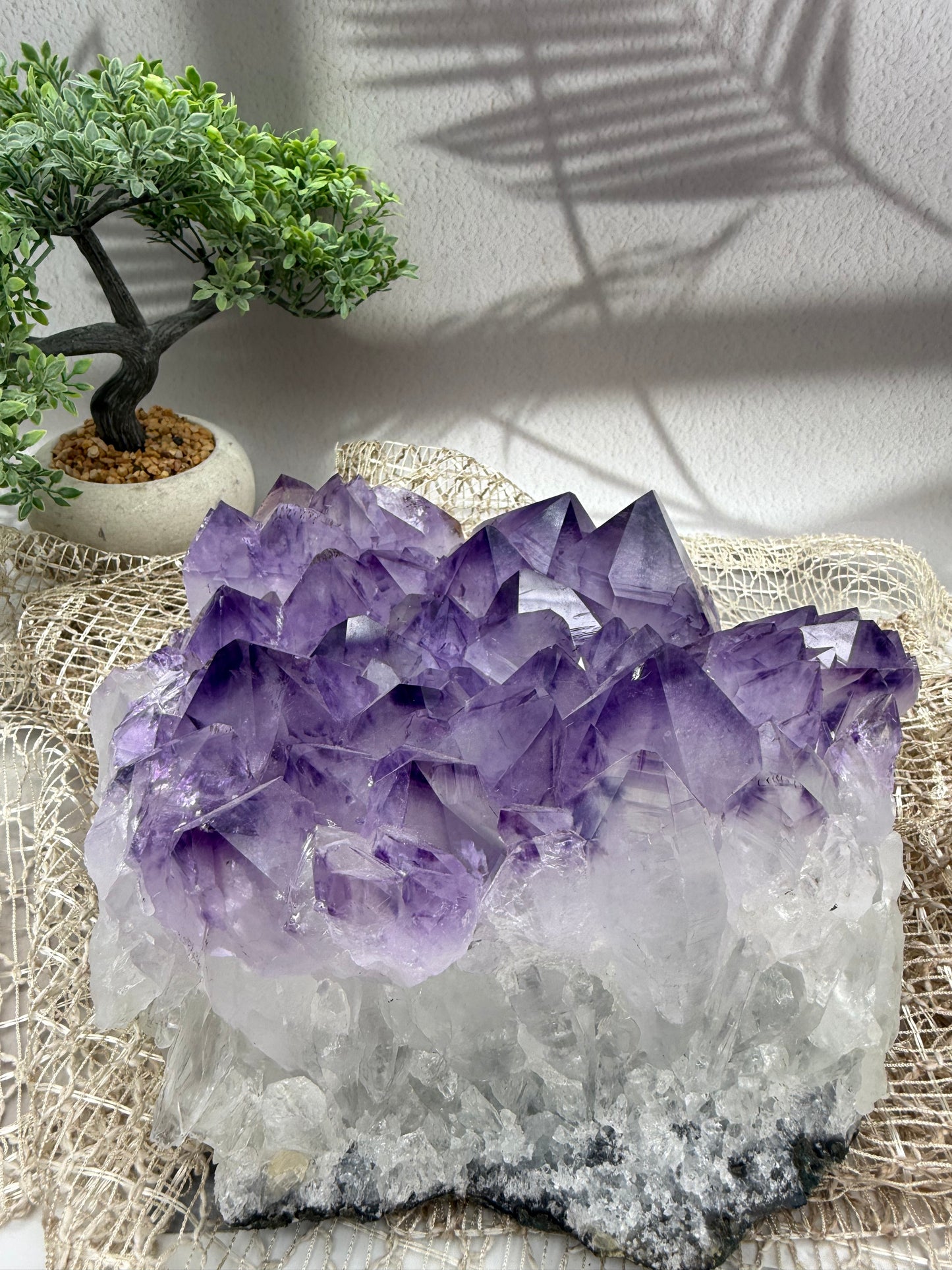 Amethyst Cluster - 5,3 kg - Ladecluster