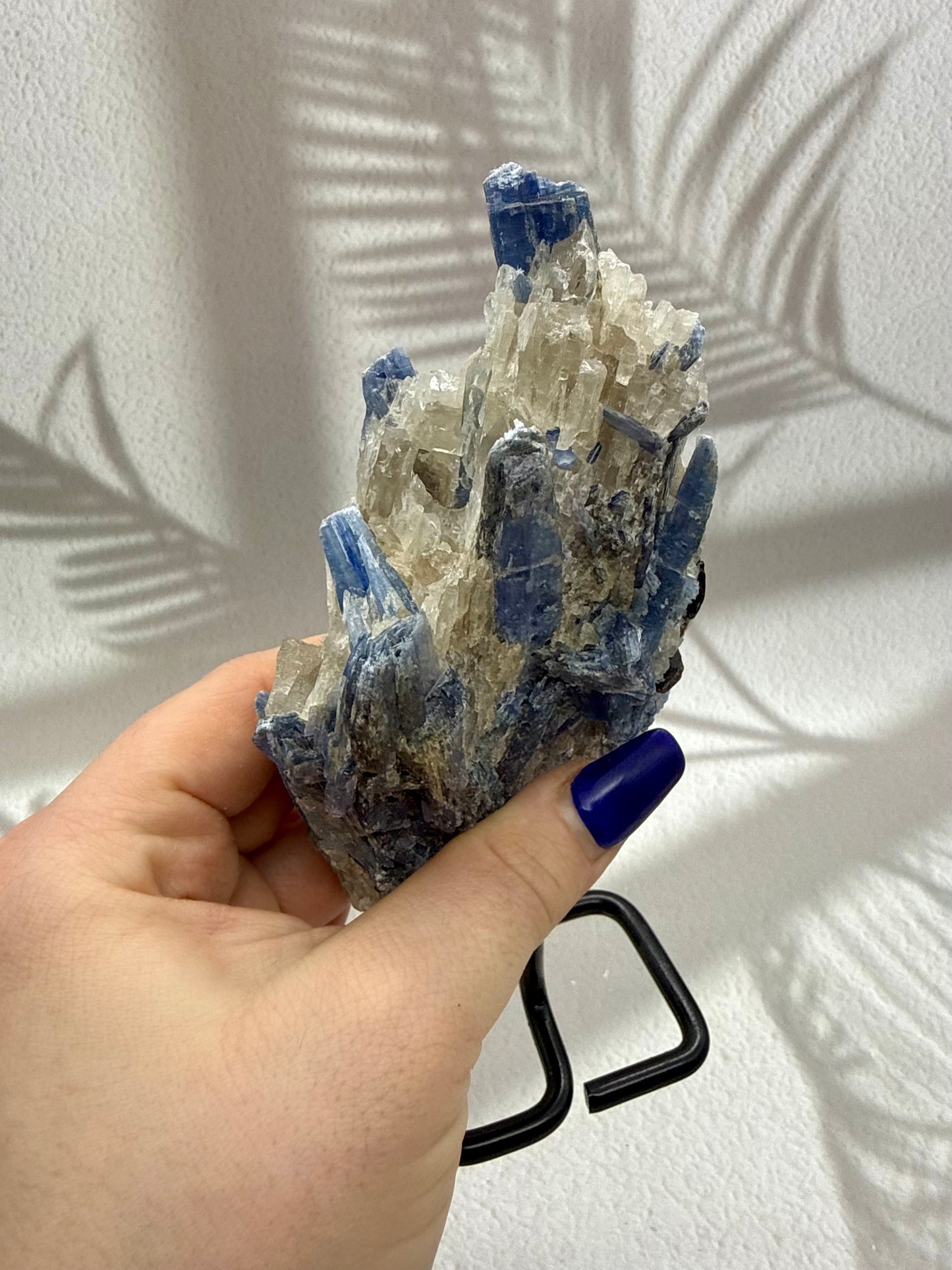 Blauer Kyanit VI | B-Ware