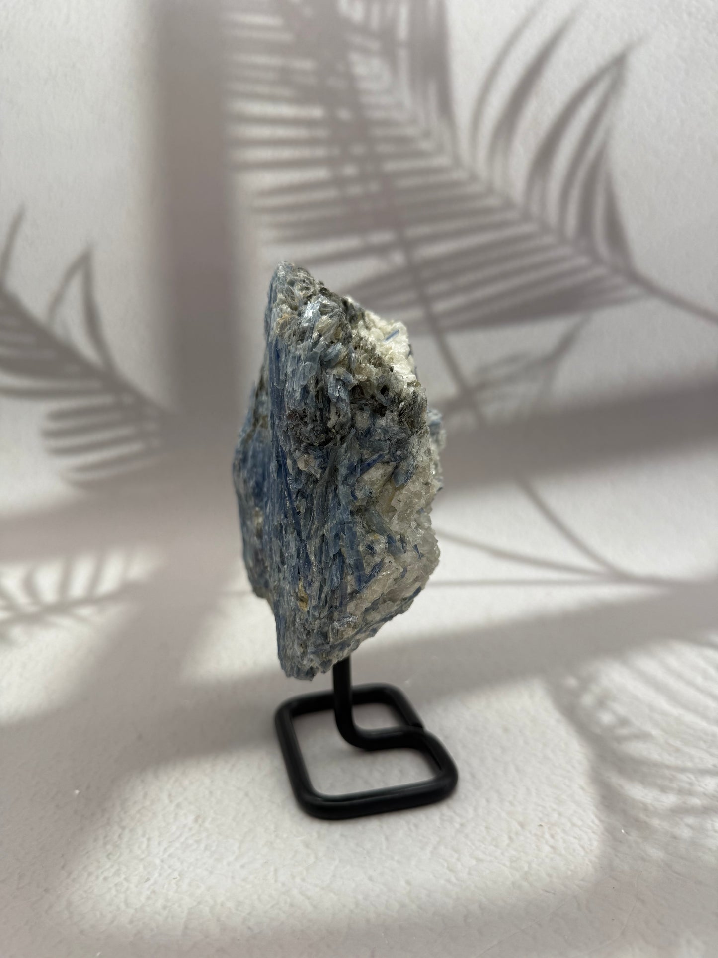 Blauer Kyanit auf Ständer XI