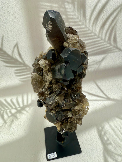 Rauchquarz auf Ständer 6