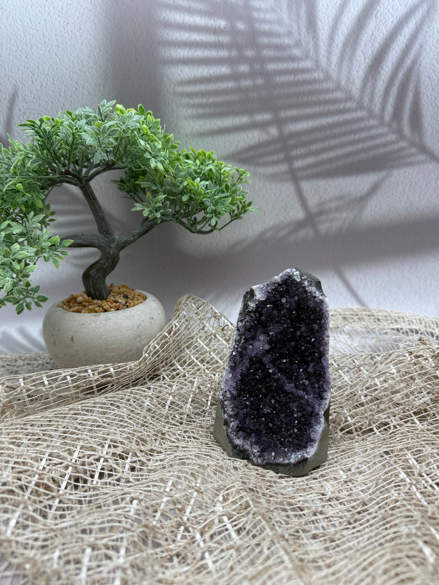 Amethyst Druse - VI