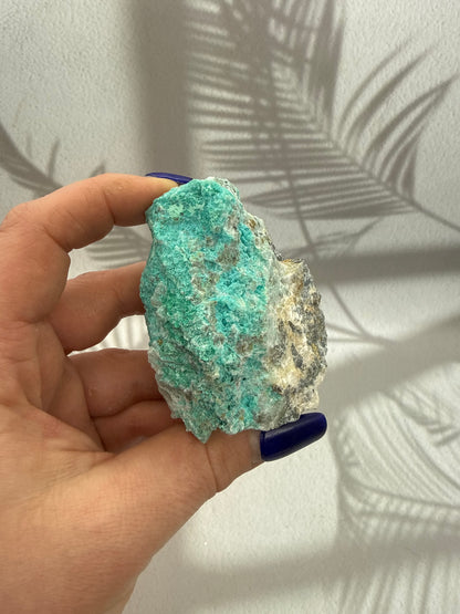 Chrysokoll Rohstücke Rarität