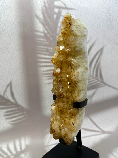 Gebrannter Citrin auf Ständer AAA