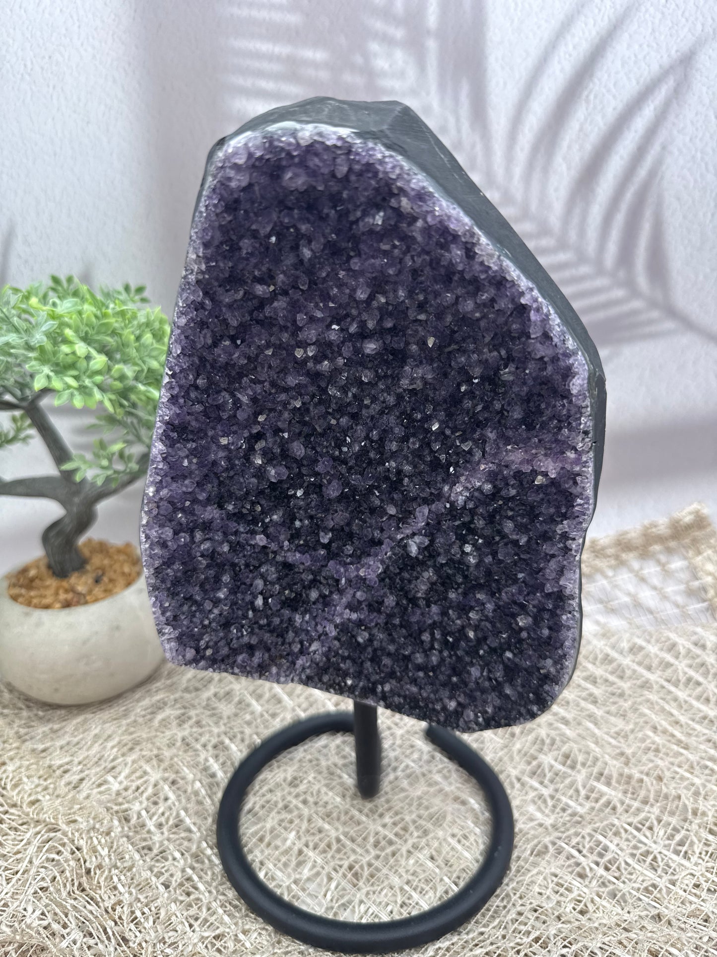 Amethyst Druse - groß