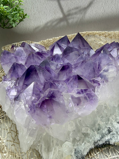 Amethyst Cluster - 5,3 kg - Ladecluster