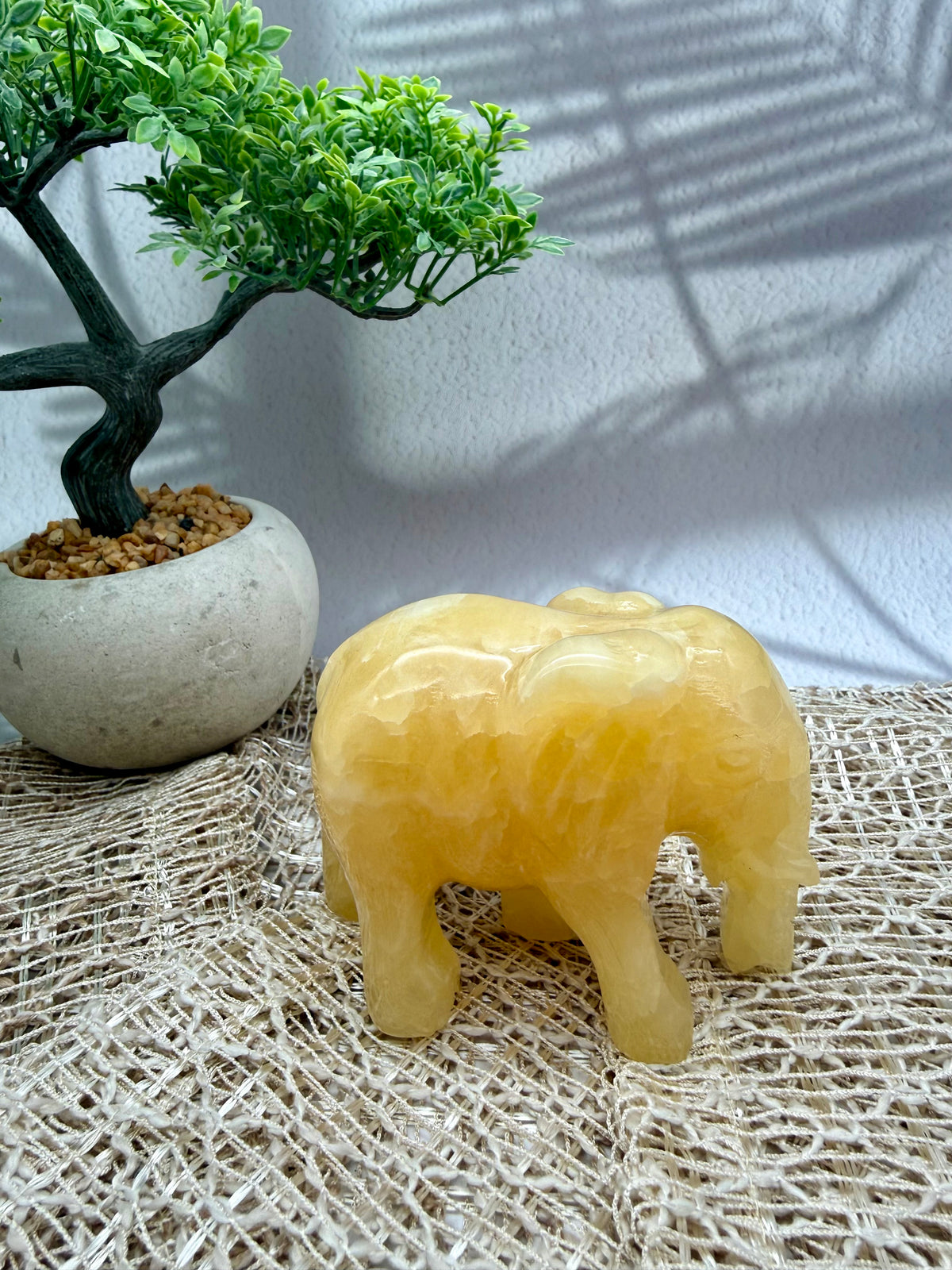 Orangencalcit Elefant - II