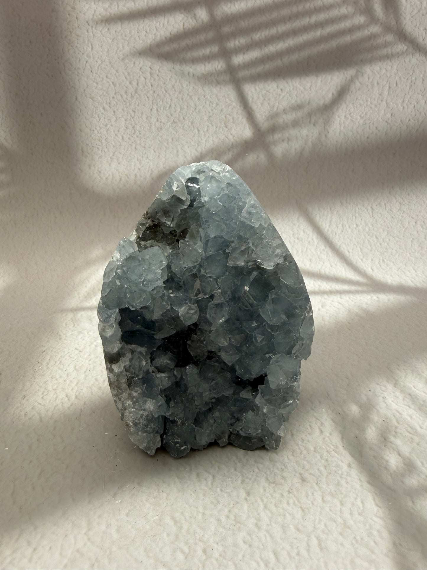 Coelestin Freiform II